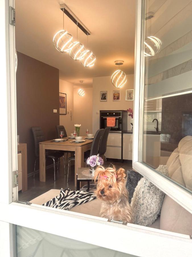 Downtownapartments Andy Air-Conditioned, Underground Parking Available 제수프 외부 사진
